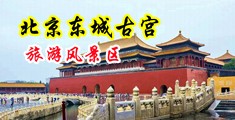 尻骚浪逼视频中国北京-东城古宫旅游风景区